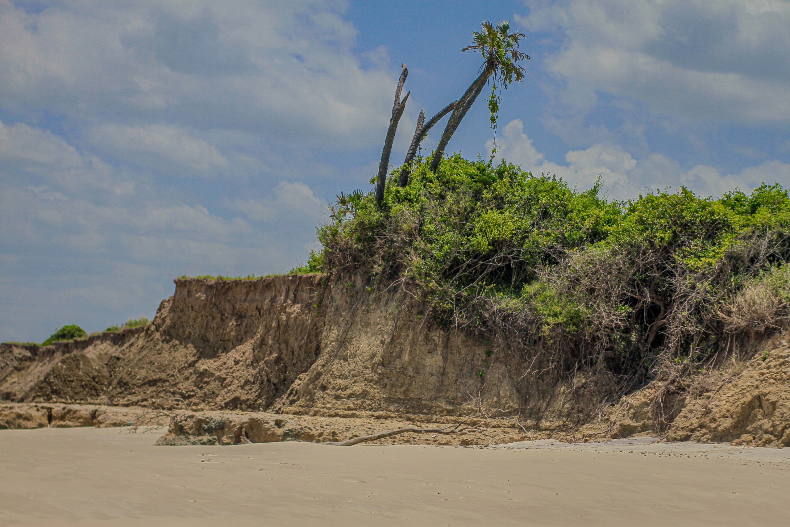 Mozambique landscape