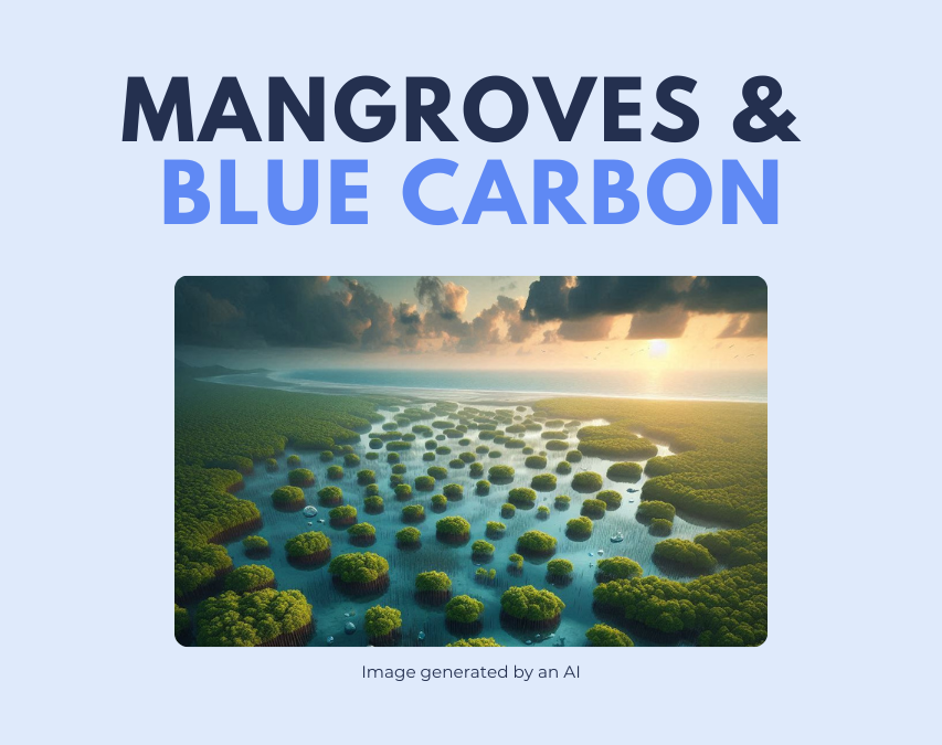 Mangroves & Blue Carbon