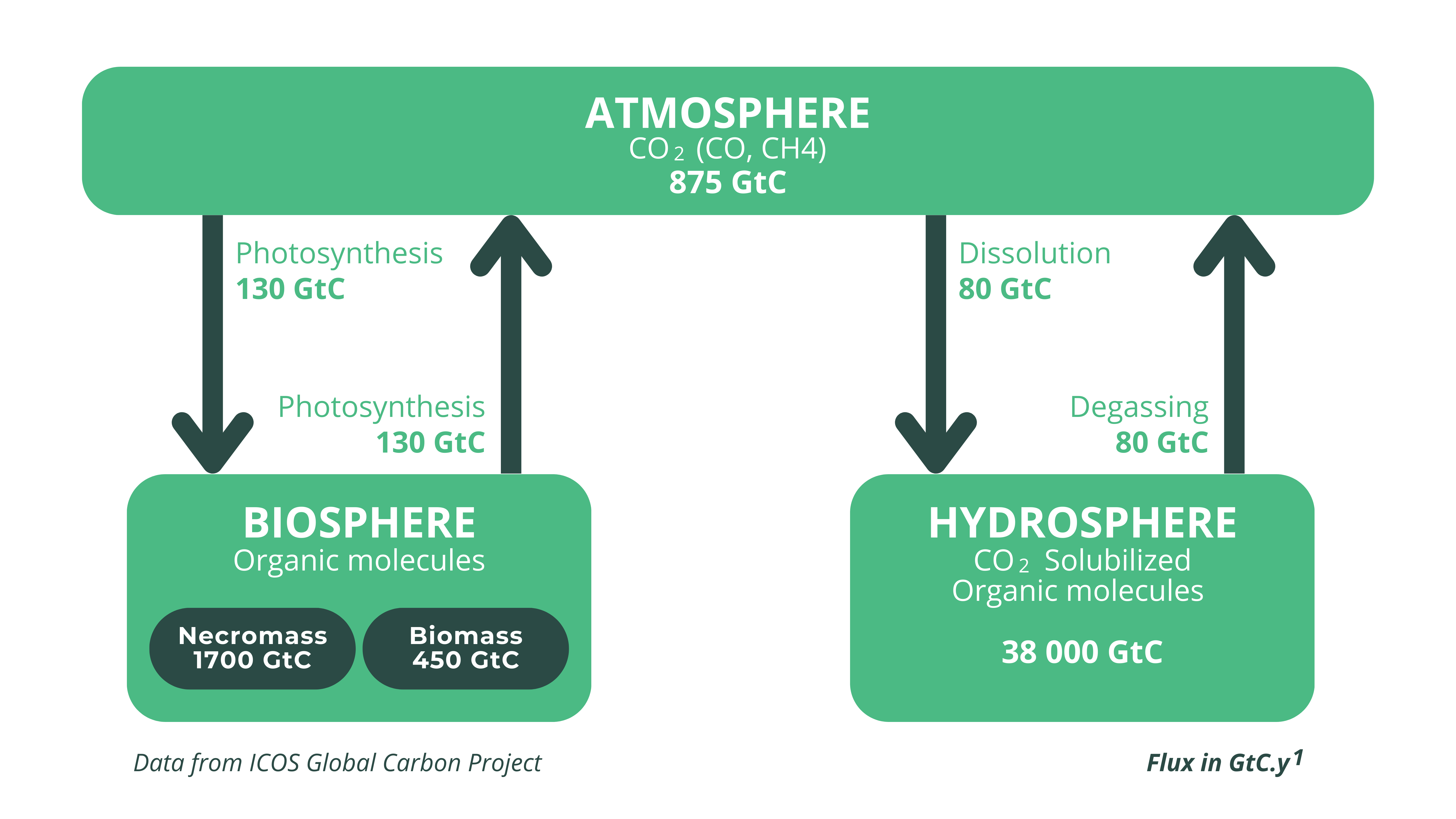 Carbon cycle