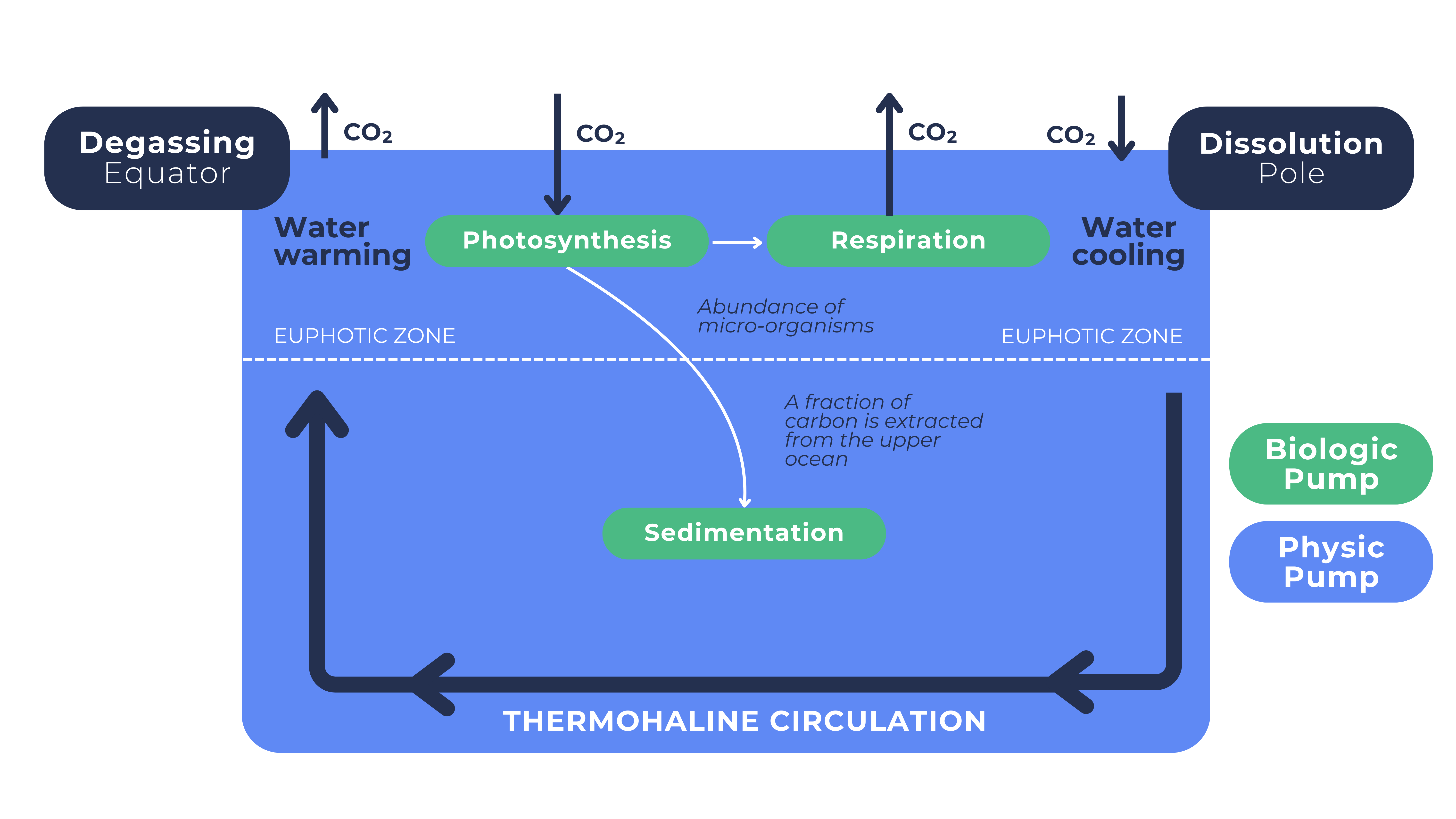 Thermohaline circulation