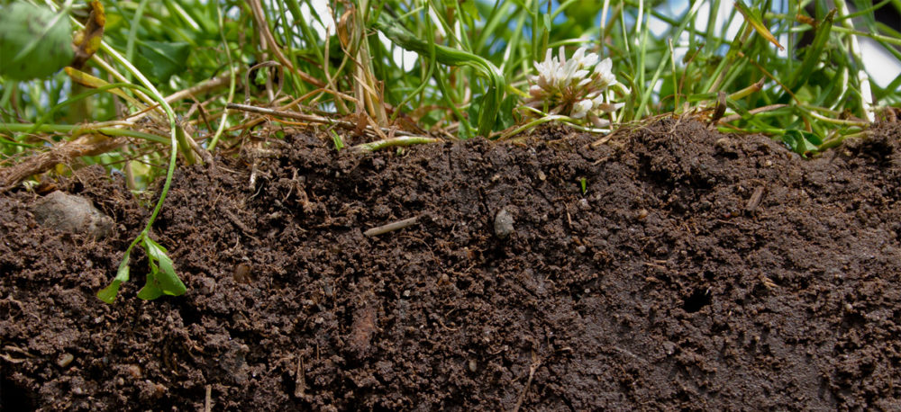 Soil and Carbon