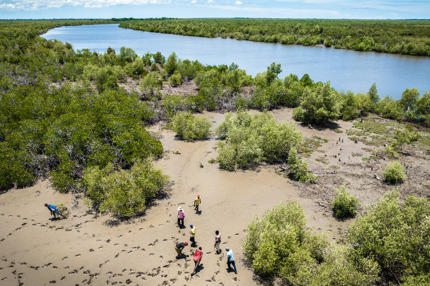 MozBlue project Mozambique mangroves